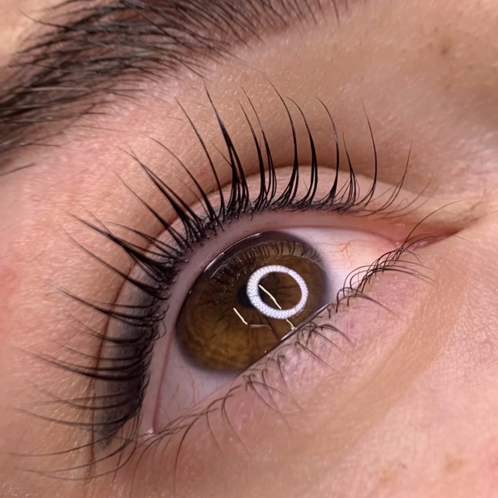 Primo piano di ciglia dopo la laminazione con Lash Filler