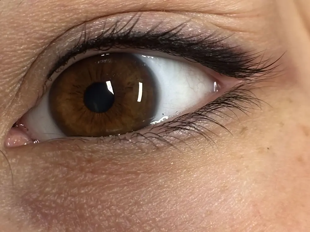 Eyeliner permanente sottile sulla palpebra superiore, primo piano dell’occhio