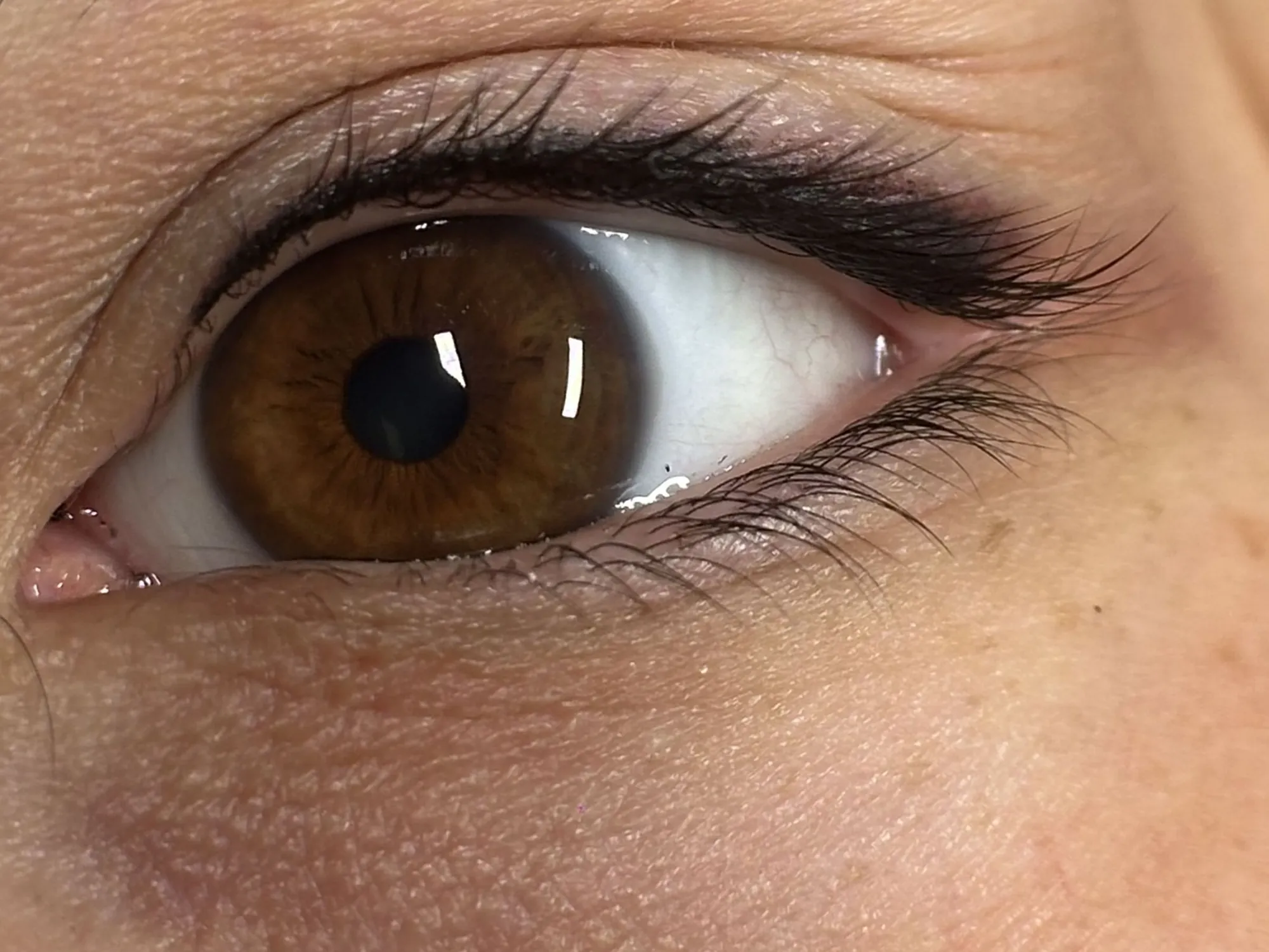 Eyeliner permanente sottile sulla palpebra superiore, primo piano dell’occhio